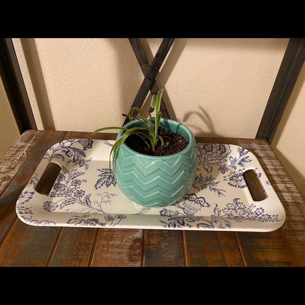 Platter tray